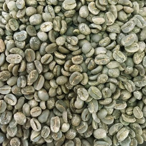 Vietnam Specialty Arabica Green Coffee <b>Beans</b> Size 16 with USDA & ISO 22000 Certified High Quality Bulk Export G1/G2 Grade - Product Image 3