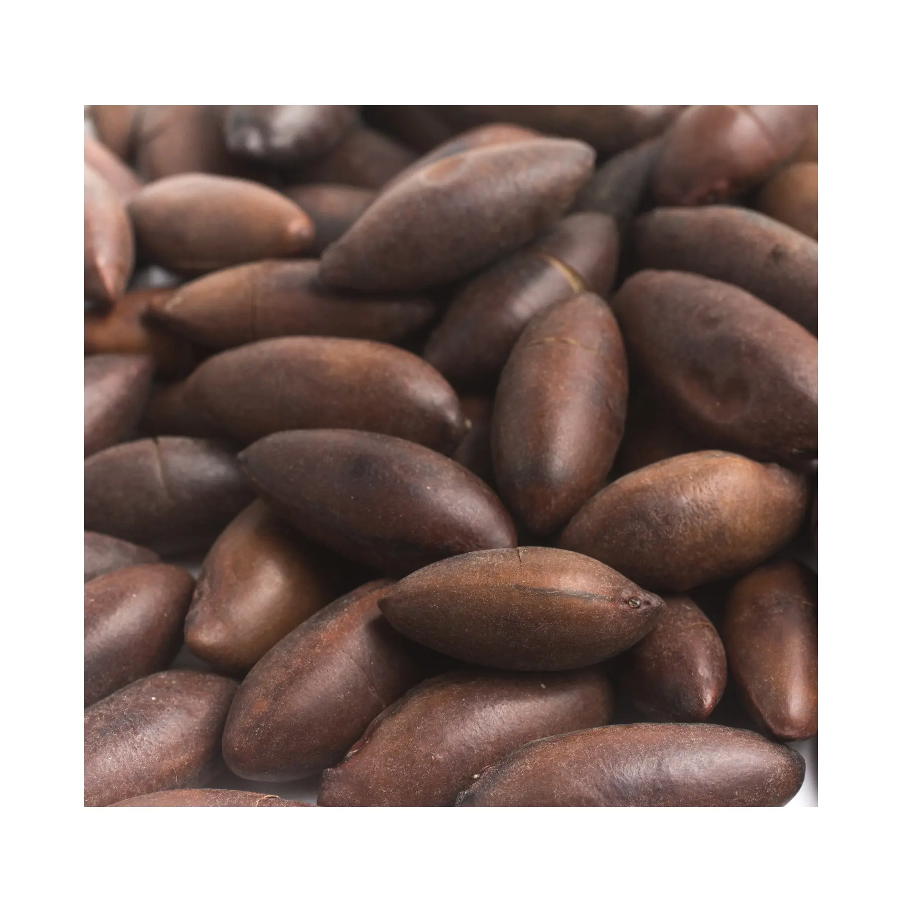Preço Atacado Baru Roasted Nuts (Salgado) | Baru Nuts