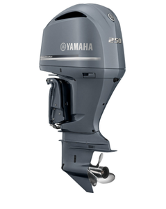 Moteur hors-bord de 115 ch - Product Image 6