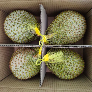 FRUTA DURIAN NATURAL DULCE CONGELADA DE VIETNAM | SUMINISTRO DE EXPORTACIÓN A GRANEL - Product Image 3