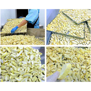 Vente en gros de durian lyophilisé au Vietnam, fruits tropicaux sucrés à prix compétitif - Product Image 5