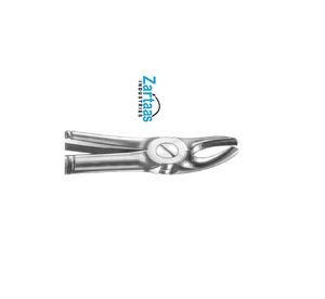 Fórceps de extracción de acero inoxidable de alta calidad raíces inferiores fig. 33 exportadores y fabricante - Product Image 1
