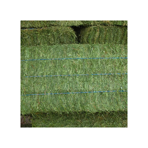 Foin d'alfalfa en gros provenant des États-Unis, origine Californie, qualité supérieure, balles de 50 lb et 100 lb pour l'exportation vers l'Asie et le Moyen-Orient - Product Image 6