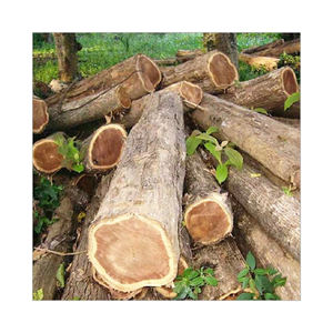 Bois de chauffage en padouk abordable fourni pour les commandes en gros avec livraison dans le monde entier - Product Image 3