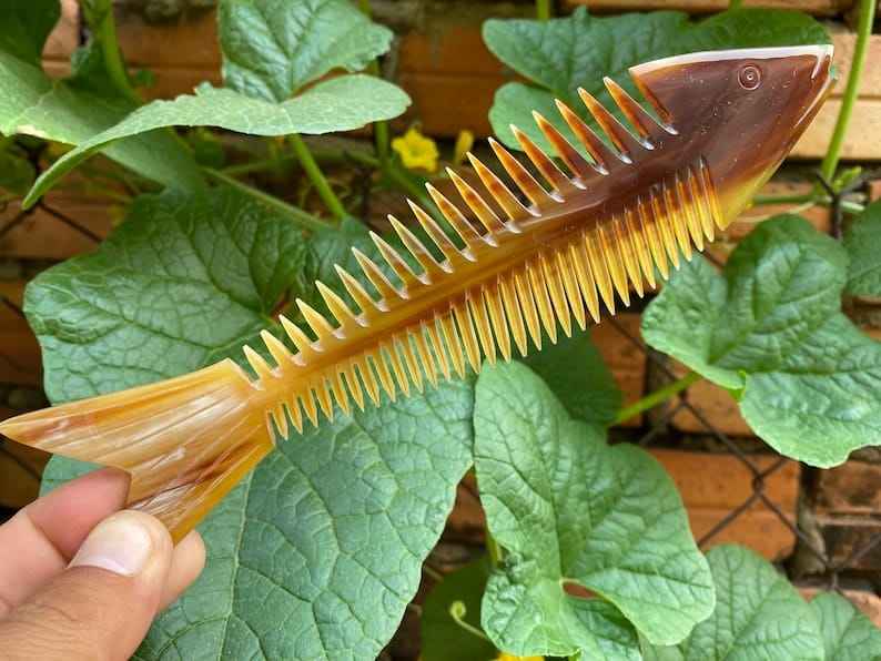 ธรรมชาติ