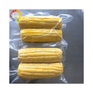 Granos de maíz blanco amarillo congelado IQF envasados a granel para procesamiento de alimentos dulzura garantizada suministro al por mayor de alta calidad - Product Image 2