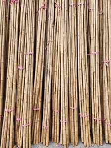 Estacas de jardín al por mayor | Bambú 100% tratado a medida | Fabricante de Vietnam - Product Image 3