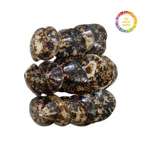 Conchas de Lapa brillantes para proyectos domésticos, decoración y eventos temáticos - Product Image 2