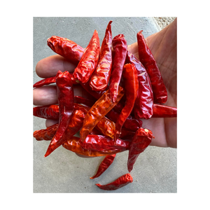 พริกแห้งตากแดดพริกแดงจากเวียดนามพริกแห้งทั้งหมดรสเผ็ดสำหรับการแปรรูปอาหารบรรจุภัณฑ์จำนวนมากส่งออก - Product Image 6