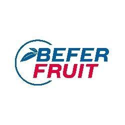 BEFER FRUIT SRL logo