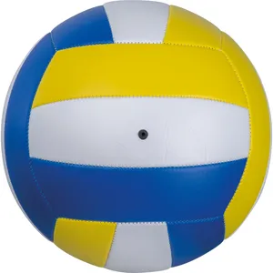 อุปกรณ์วอลเลย์บอลชายหาดส่วนตัวของนาธาลี - Product Image 2