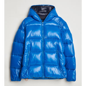 Vestes matelassées en duvet d'oie pour hommes, en gros, fines, avec logo brodé sur le devant, rembourrage, tissu brillant, fermeture éclair imperméable, pour l'hiver - Product Image 1