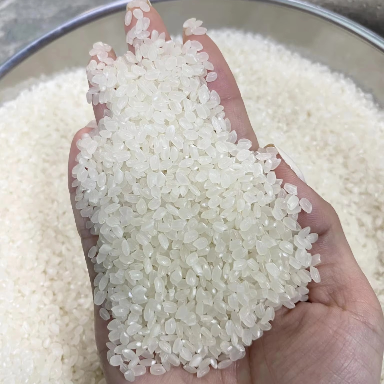 #1 Factory Direct Japonica White Rice Dried Sushi Cooking Rice Similar to Basmati Low Price WA 84968974137