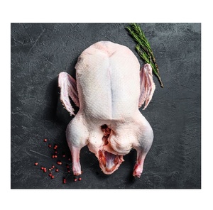 Carcasse d'oie congelée naturelle de qualité supérieure pour la restauration en gros, les restaurants, les hôtels, la restauration collective et la fabrication alimentaire - Product Image 5