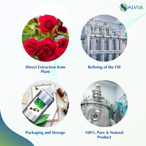 Venta al por mayor a granel 100% aceite esencial de Rosa puro y natural embalaje personalizado precio bajo - Product Image 4