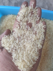 Arroz Basmati Orgánico de Primera Calidad, Cosecha 2025, 100% Partido, Color Amarillo Claro, Textura Suave, Arroz Jazmín Parboiled Fresco - Product Image 6