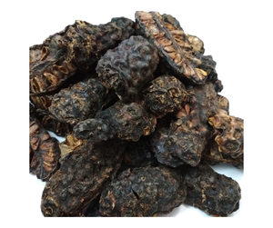 Fruta Noni seca de Vietnam, Morinda Citrifolia de alta calidad, rodajas y polvo de Noni seco a granel, Noni seco para exportación a bajo precio - Product Image 4