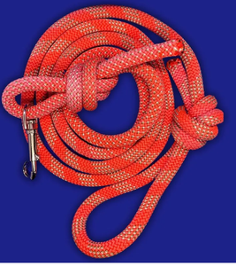 เชือกจูงสุนัข - Product Image 4