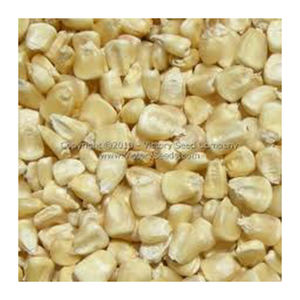 OEM NON Gmo maíz blanco al por mayor de alto fabricante nuevo mejor material con tarifa barata - Product Image 5