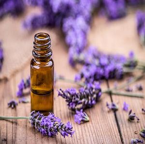 Wholesale <b>Natural</b> Lavender Essential Oil Herbal Extract Can Bottle Great for <b>Calming</b> Soothing Relaxation Wild Cultivated - Product Image 1