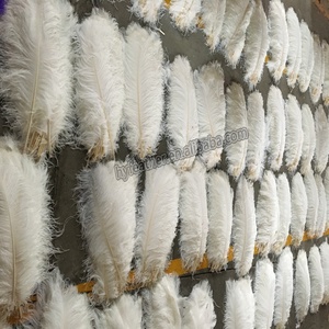 60cm 65cm Plume Home <strong>Decor</strong> White Ostrich <strong>Feather</strong> for Party Supplies Floral Vase DIY Craft <strong>Wedding</strong> Centerpieces Carnival Costumes - Product Image 3