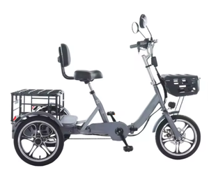 รถสามล้อมาตรฐาน มอเตอร์ 48V 400W แบตเตอรี่ 12Ah ยาง 16*1.75 ตะกร้าบรรทุก ระยะทางสูงสุด 50 กม. ความเร็ว 30 กม./ชม. - Product Image 1