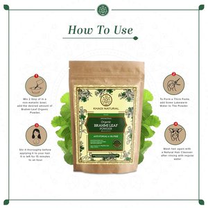 Khadi Poudre Naturelle de Feuilles de Brahmi Biologique-100% Naturel-100g - Product Image 3