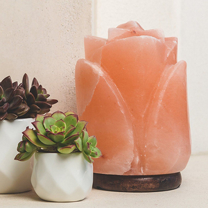 Lampe au sel naturel en cristal de l'Himalaya la plus vendue Lampes au sel de l'Himalaya fabriquées à la main - Product Image 5