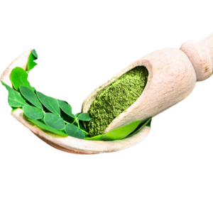 Polvo puro de extracto de Moringa oleifera de Vietnam - Product Image 1