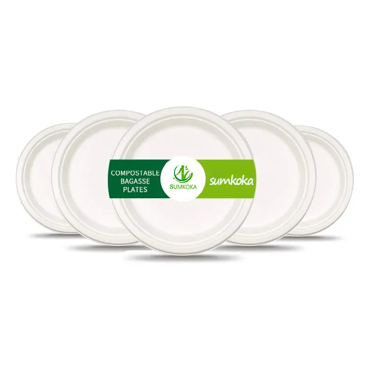 100% compostable và phân hủy sinh học 6 "7" 8 "10" 12 "dùng một lần mía bã mía tấm