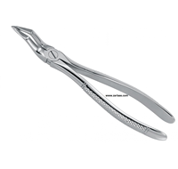 Pince d'extraction de dents dentaires en acier inoxydable de haute qualité, motif anglais Fig. #51 Fabricant d'instruments dentaires