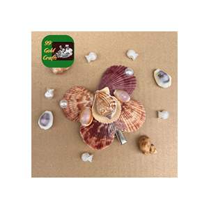 CLIPS ELEGANTES DE CONCHA DE MAR ESTILO OCÉANO PINZA DE GARRA ACRÍLICO ACCESORIO PARA EL PELO PARA MUJERES VACACIONES ESTILO DE PLAYA - Product Image 6