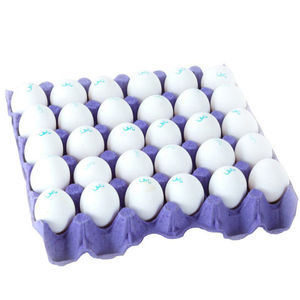 OEUFS DE POULET FRAIS À BAS PRIX À VENDRE - Product Image 4