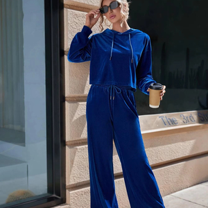 Autumn 2 Piece Velour Set <b>Crop</b> <b>Top</b> Velvet <b>pink</b> Hoodie Two Piece Pants Jogging Set Velour Tracksuit for Women Hoodie Track Suit - Product Image 1