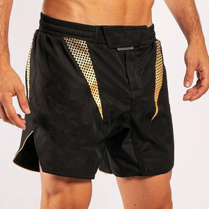 Vêtements d'entraînement de combattant de boxe MMA Short Sportswear Casual Wear Heavy Duty Sublimation MMA Shorts - Product Image 2