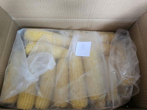 Granos de maíz congelados de primera calidad, MAÍZ AMARILLO, MAÍZ DULCE CONGELADO LISTO PARA EXPORTAR, Maíz glutinoso congelado IQF - Product Image 4