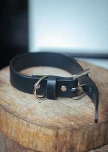 Collar clásico para perro, 30mm, bronceado - Product Image 4