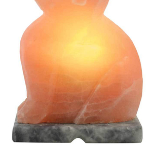 Vente en gros de lampe contemporaine en cristal de sel rose de l'Himalaya Lampe de table électrique de haute qualité personnalisée en forme d'animal pour la chambre - Product Image 4