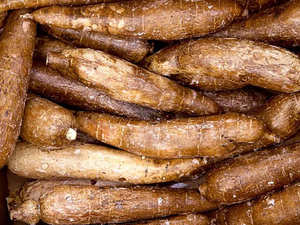 Cassava fraîche biologique de haute qualité en provenance des États-Unis, paquet de 10 kg avec une durée de conservation de 24 jours, vente directe d'usine - Product Image 5