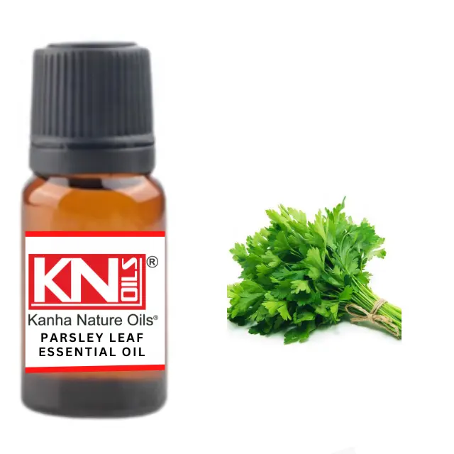 Kaufen Sie Bulk Großhandels preis PARSLEY LEAF ESSENTIAL OIL aus Indien größte Herstellung Kanha Natur öle