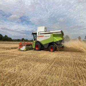 เครื่องเก็บเกี่ยวข้าวโพดแบบมัลติฟังก์ชันสำหรับงานเกษตรเครื่องเก็บเกี่ยวแบบรวมสำหรับข้าวสาลีมีวางจำหน่ายแล้ว - Product Image 2