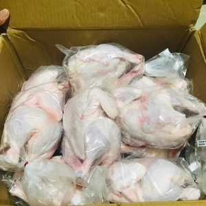 Pechuga de pollo congelada de primera calidad procedente de granjas de confianza con un estricto control de calidad, perfecta para los mercados de exportación y mayorista - Product Image 4