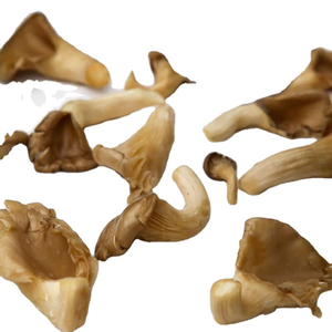 Ẩm thực Châu Á tốt nhất lớp Giá tốt nhất với chất lượng cao Muối austernseitling nấm hàu trong nước muối từ Việt Nam - Product Image 1