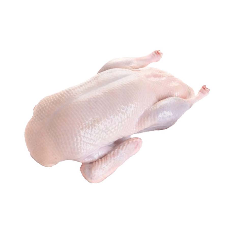 копченая утка в упаковке. утка тушка. тушка утки потрошеная 1 сорт. утка фермерская халяль. индоутка бройлерная.