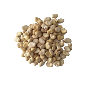 Haricots blancs à vendre pour les chaînes d'épicerie et de détail - Product Image 5