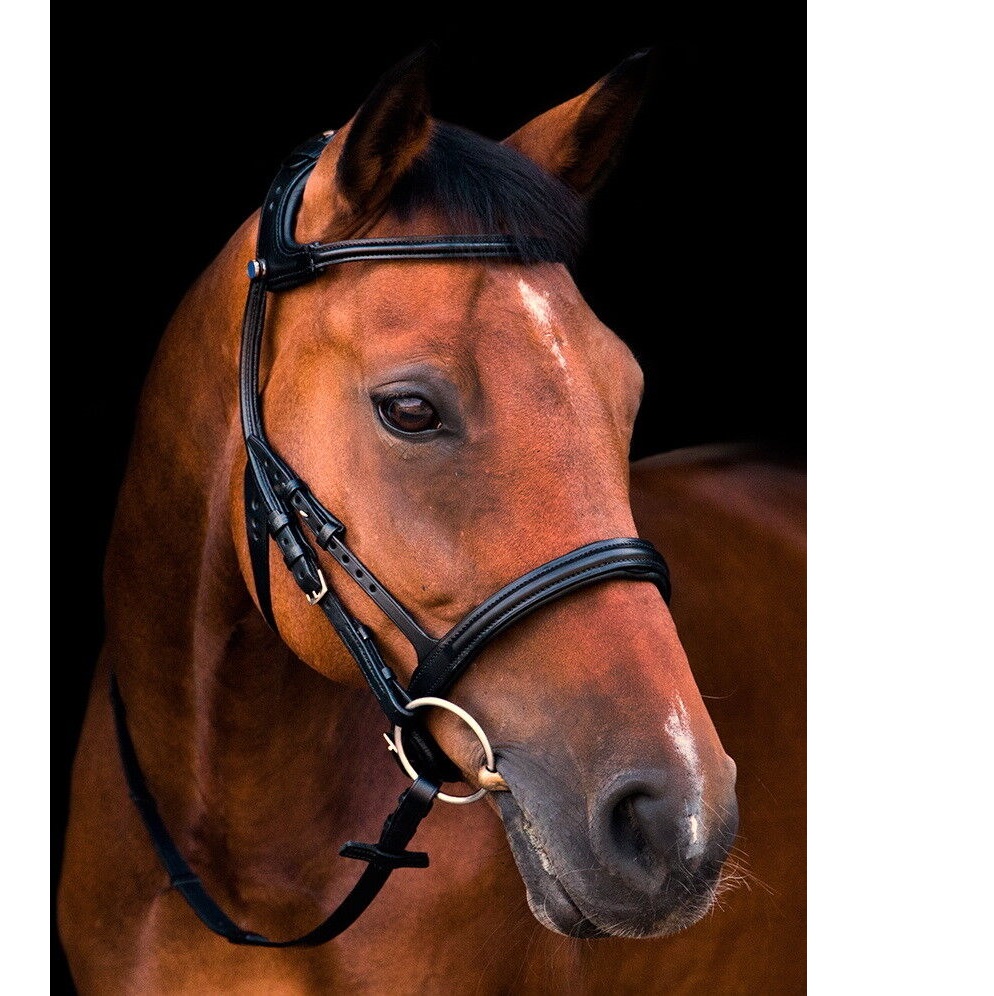stubben tobacco bridle Leitrim Slide/Lock Flash 2305 and removable flash noseband. Stubben 2500 Freedom Bridle With