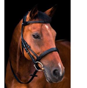 Cabestro Anatómico FREEDOM con Diseño Recortado, Convertible en Cabestro de Equitación - Product Image 1