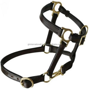 Cabestro de caballo de cuero con herrajes de latón disponible en cuero genuino negro o marrón y Halter de Carreras de Caballos hecho a mano de tamaños personalizados - Product Image 5