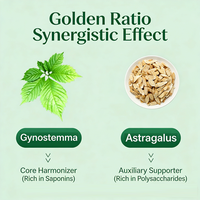 Poudre de Gynostemma Astragale Premium 1200 Mesh, Extrait Herbal en Poudre pour Boissons Fonctionnelles et Compléments Alimentaires