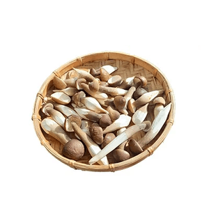 Hongo Termite, Hongo King, Hongo Negro Fresco, Bueno para la Salud, Hecho en Vietnam, PRECIO MÁS BAJO - Product Image 1